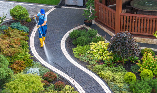 Best Power Washing Near Me  in Orange Cove, CA